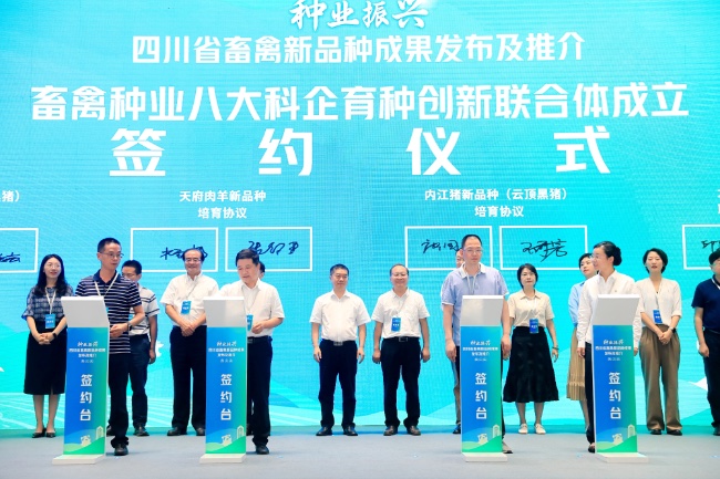 簽約儀式現(xiàn)場(chǎng)。主辦方供圖