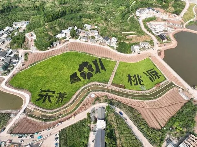 俯瞰宋井桃源。 大英縣委宣傳部供圖