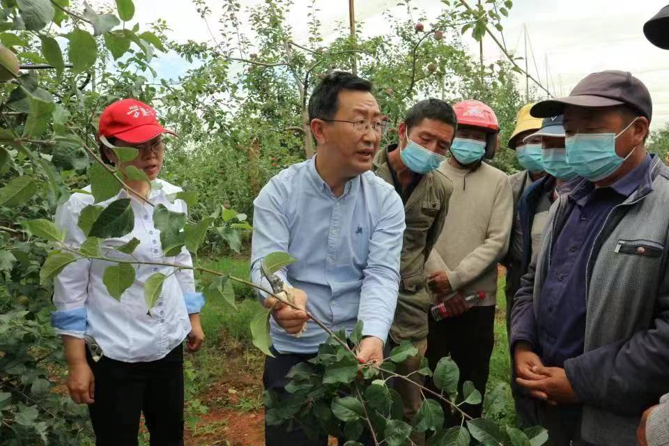 謝紅江在鹽源縣開(kāi)展蘋(píng)果夏季修剪培訓(xùn).jpg
