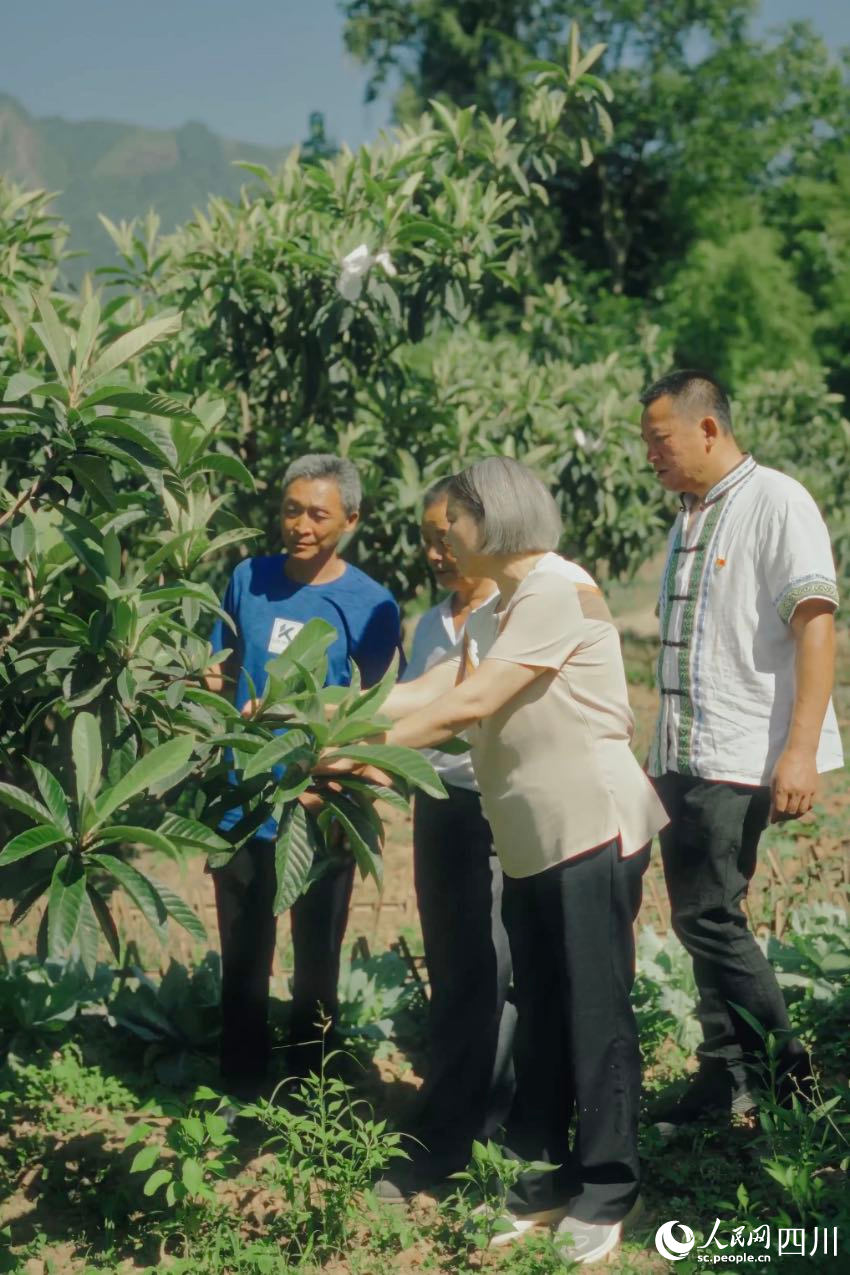 綿陽市農(nóng)科院研究員任茂瓊（前排左一）在果園里，手把手給農(nóng)戶演示如何修枝。人民網(wǎng)記者 張若涵攝