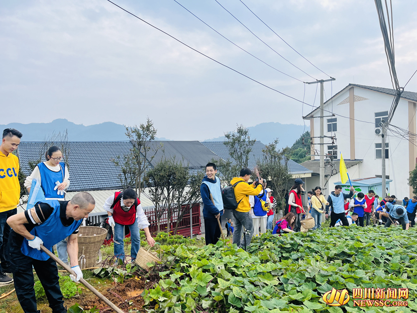游客體驗(yàn)采摘樂(lè)趣_副本.jpg