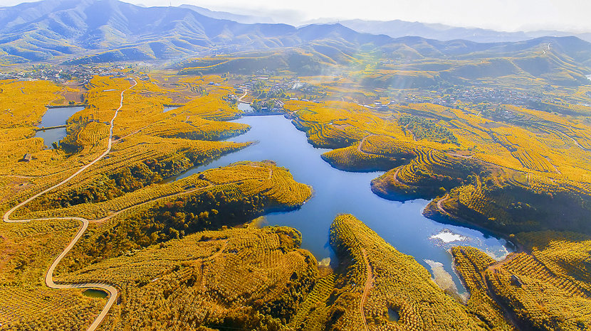 會(huì)理萬(wàn)畝石榴基地秋景_副本.jpg