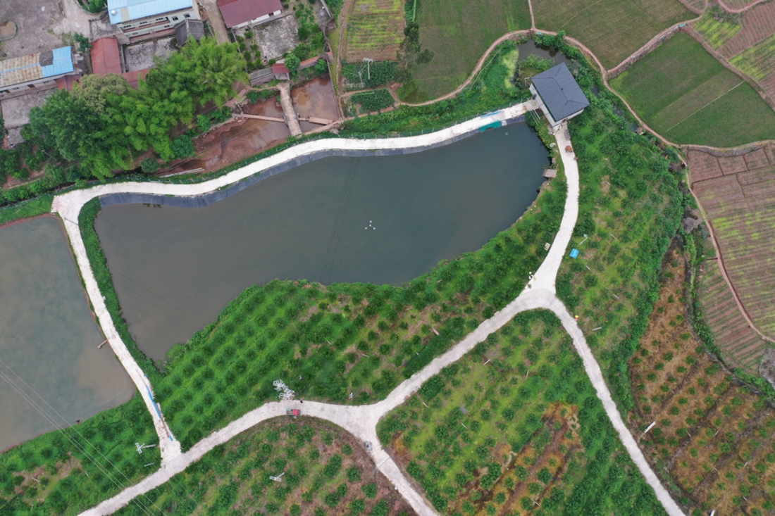 眉山市仁壽縣曾某非法占用農(nóng)用地案1.jpg